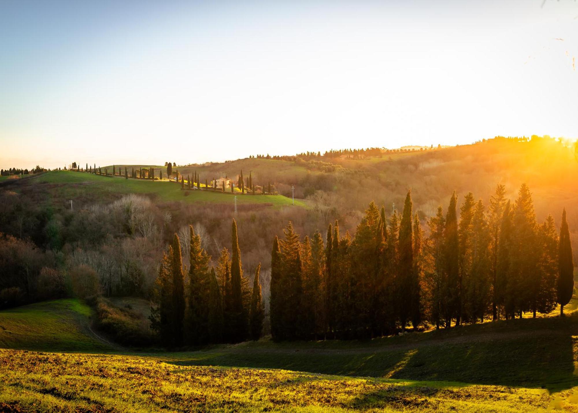 Borgo Il Poggio Agritourismo Villa Montaione Buitenkant foto