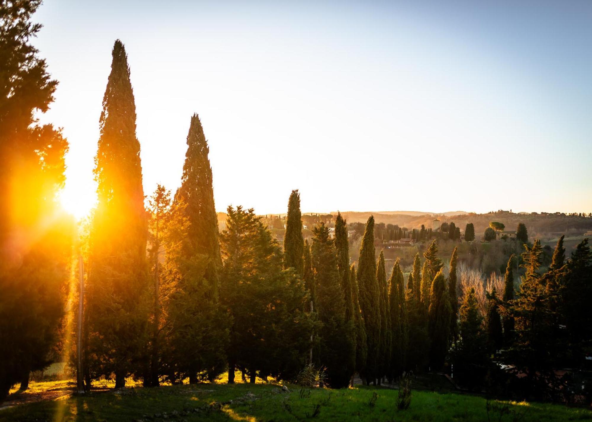 Borgo Il Poggio Agritourismo Villa Montaione Buitenkant foto
